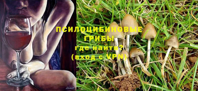 Галлюциногенные грибы Cubensis  сколько стоит  Лиски 